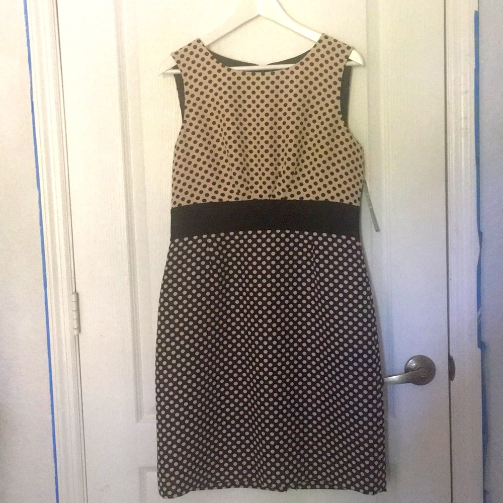 NWT Color block polka dot Tahari dress. Size 10